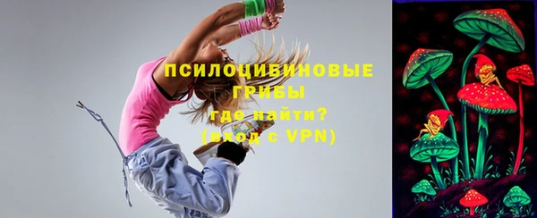прущая мука Верея