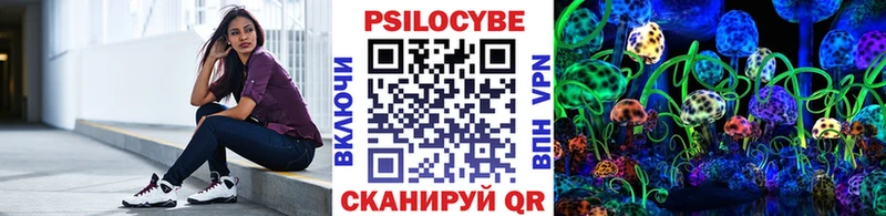 Галлюциногенные грибы Psilocybine cubensis  Купить  Заречный 
